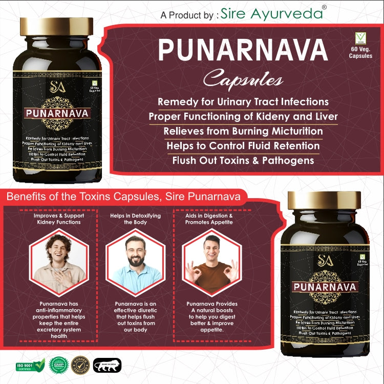 PUNARNAVA Capsules| Good Gut Health & Healthy Appetite| Heart and Urinary Health|UTI|Kidney|Liver|Fluid retention| – 60 Veg capsules| MEN HEALTH WELLBEING