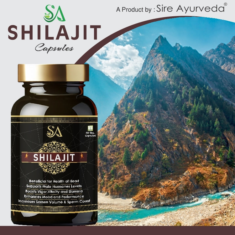 Shilajit Original - 60 Veg Capsules Stamina & Reproductive Health Support,Improve Immunity