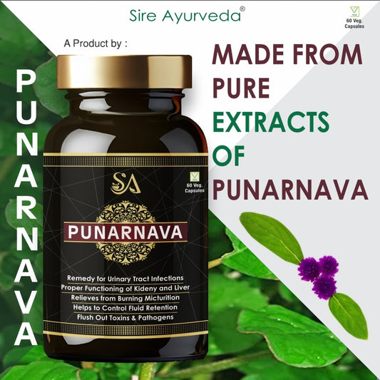 PUNARNAVA Capsules| Good Gut Health & Healthy Appetite| Heart and Urinary Health|UTI|Kidney|Liver|Fluid retention| – 60 Veg capsules| MEN HEALTH WELLBEING