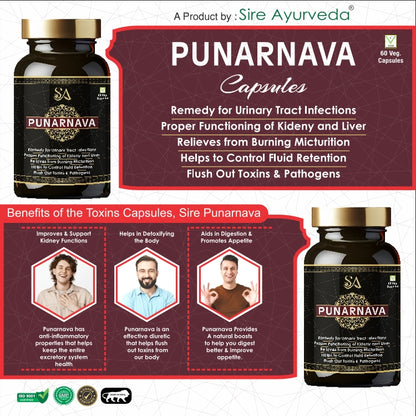PUNARNAVA Capsules| Good Gut Health & Healthy Appetite| Heart and Urinary Health|UTI|Kidney|Liver|Fluid retention| – 60 Veg capsules| MEN HEALTH WELLBEING