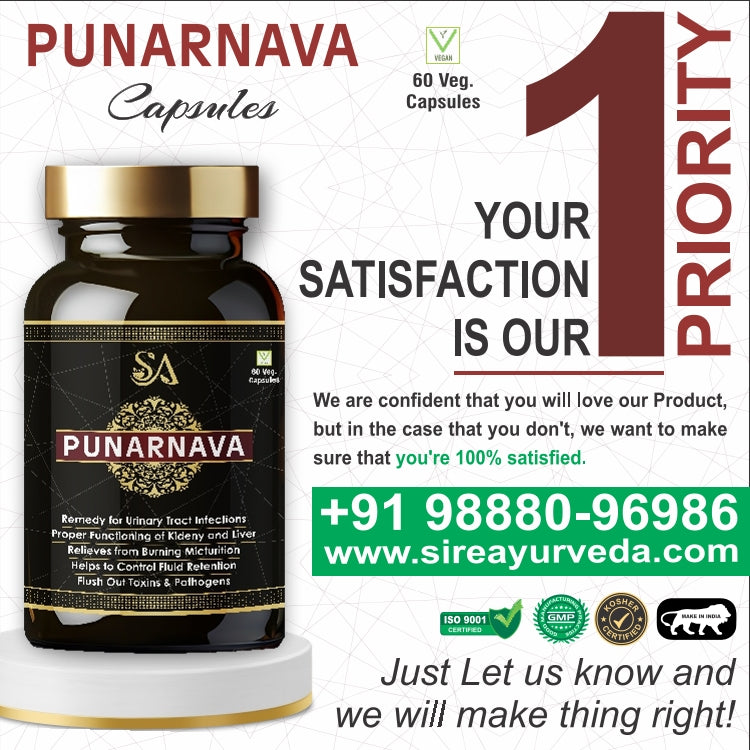 PUNARNAVA Capsules| Good Gut Health & Healthy Appetite| Heart and Urinary Health|UTI|Kidney|Liver|Fluid retention| – 60 Veg capsules| MEN HEALTH WELLBEING