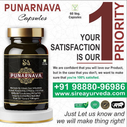 PUNARNAVA Capsules| Good Gut Health & Healthy Appetite| Heart and Urinary Health|UTI|Kidney|Liver|Fluid retention| – 60 Veg capsules| MEN HEALTH WELLBEING