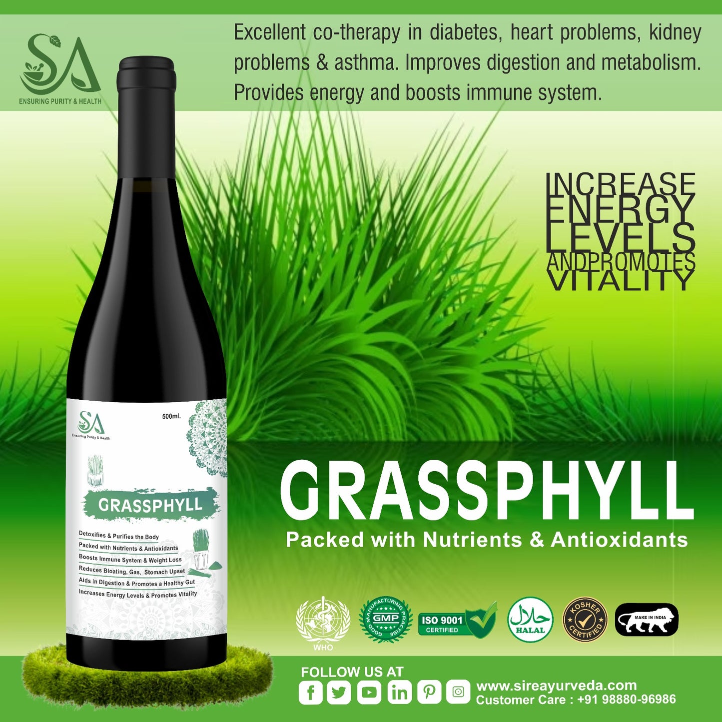 GRASSPHYLL(Effective Weight Management, Natural Detoxification, Anti-Inflammation & Energy Supplement For Men & Women)