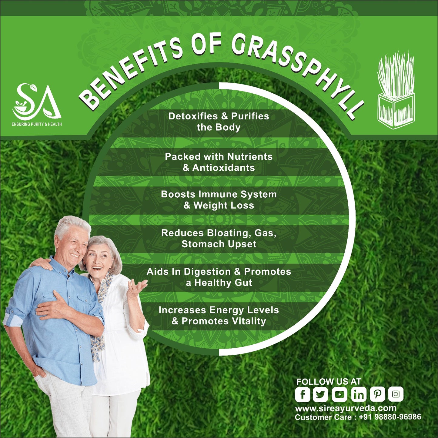GRASSPHYLL(Effective Weight Management, Natural Detoxification, Anti-Inflammation & Energy Supplement For Men & Women)