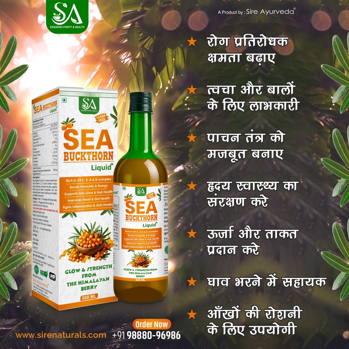 Sea Buckthorn Liquid – Glow & Strength from the Himalayan Berry